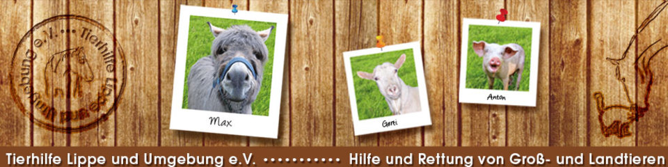 (c) Tierhilfe-lippe.de